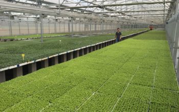 Greenhouse irrigation controller