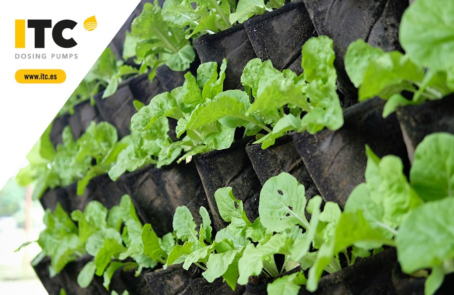 vertical-garden-itc